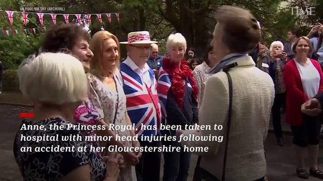 Princess Anne in Hospital With Minor Injuries, Concussion After Incident on Her Estate