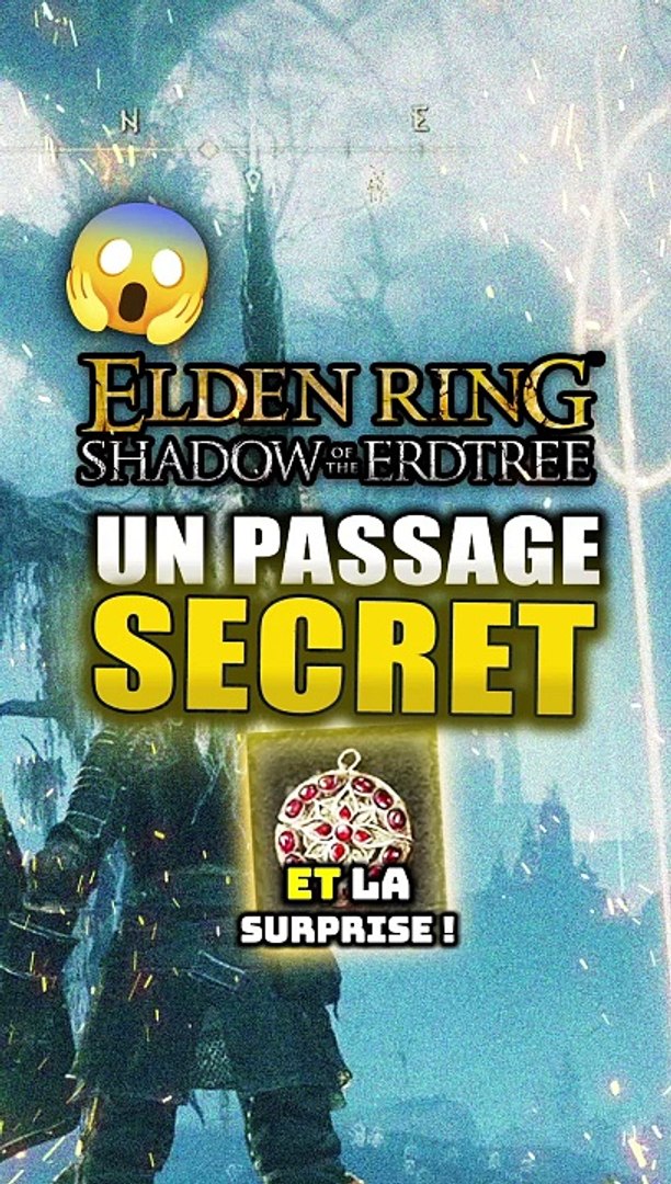 ⁣Un passage SECRET dans Elden Ring