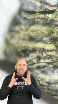 Sauras-tu deviner ce qu'on te montre au microscope ? Indice : c'est une substance du corps humain, dis-nous ce que tu penses que c'est dans les commentaires !