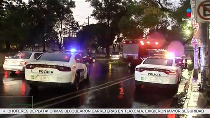 ¿Qué hacer si mi auto fue dañado por la caída de árboles?