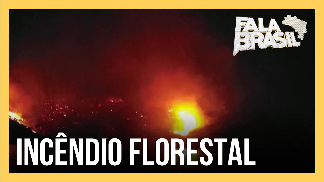 Festa em iate termina com 13 pessoas presas por incêndio florestal na Grécia