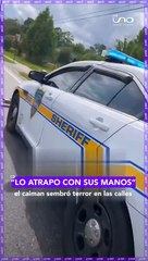 ¡Tierna historia! Un pequinés se corona como el perro 'más feo del mundo'