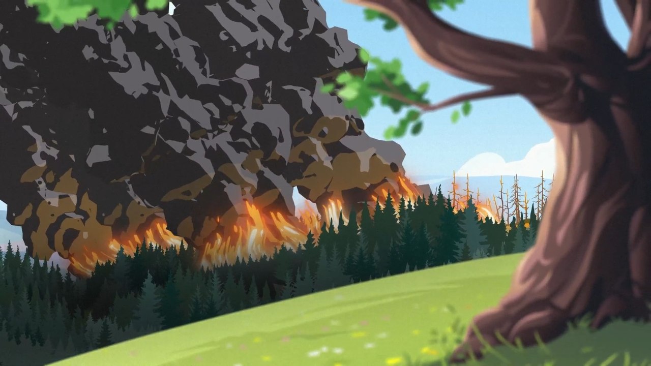 Ce que tout le monde au Canada devrait savoir sur la fumée des feux de forêt