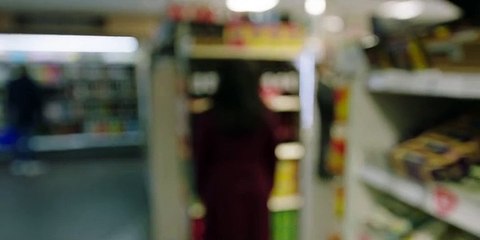 DI.Ray.S01E01.WEBRip.x264-ION10