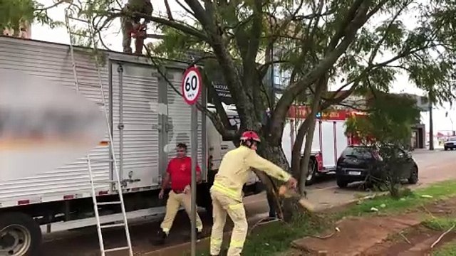 Árvore quebra sobre caminhão e mobiliza Corpo de Bombeiros na Rua JK