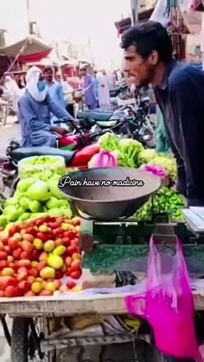 Top funny video
