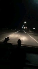 Șogor Tiberiu Adrian 24/06/2024