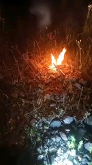 Șogor Tiberiu Adrian 25/06/2024