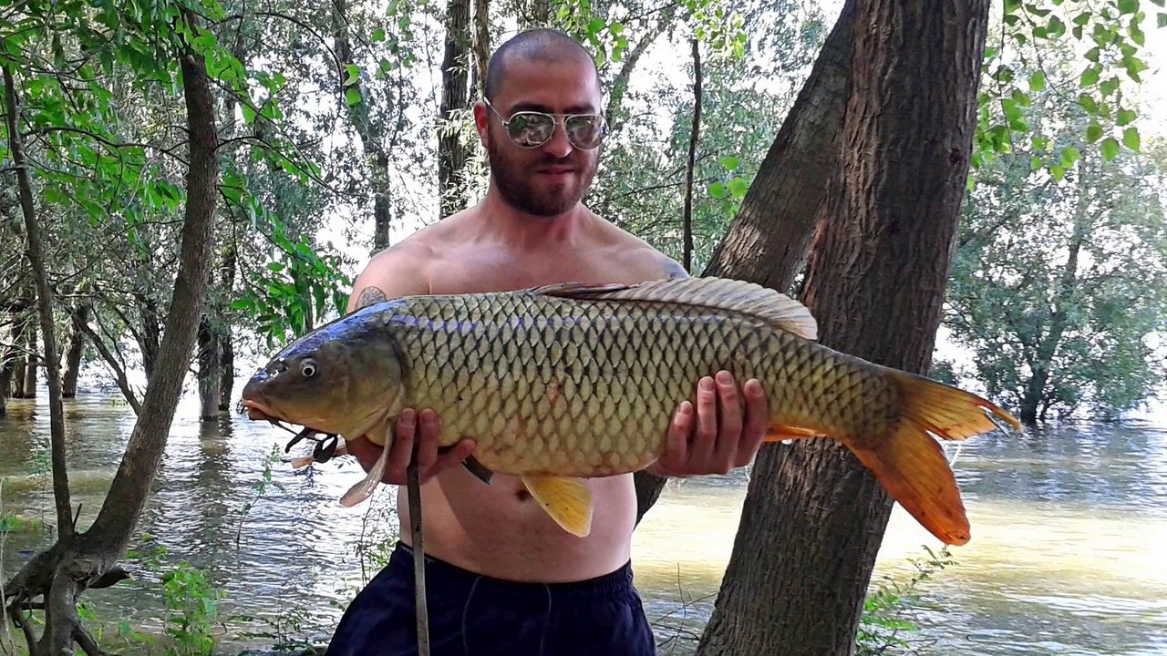 Danube Carp Fishing (Reload)