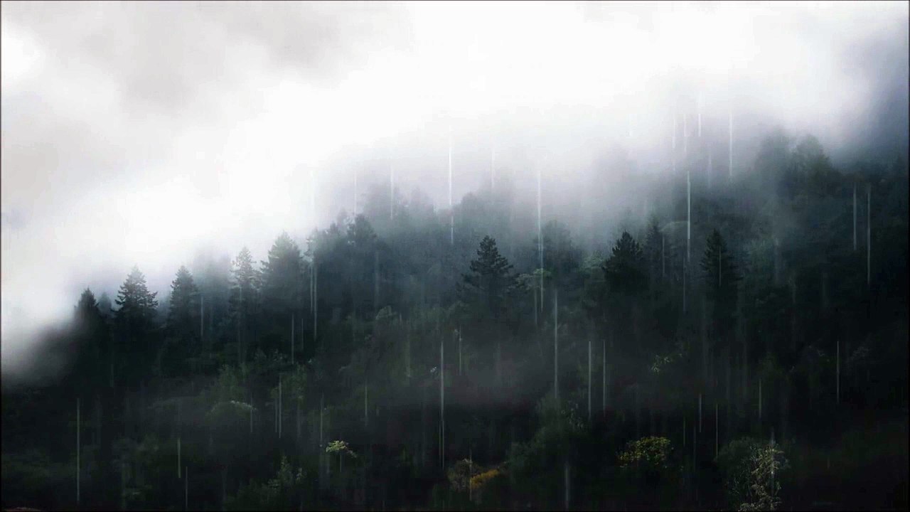 Relaxing Music & Rain Sounds - Raining in Deep Forest, Relaxing music and rain sounds.