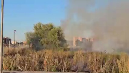 Imagen de uno de los dos incendios declarados en Ávila este lunes 24 de junio