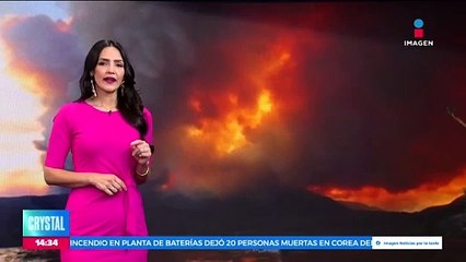 Mujer es atacada por lobos en Zoológico de París