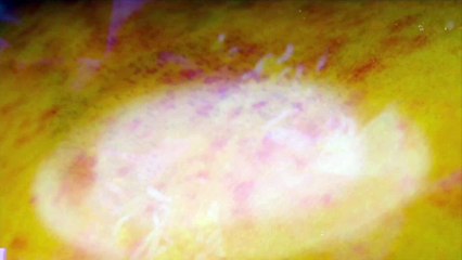 Disgusting girls will be skeletons | movie | 2023 | Official Trailer