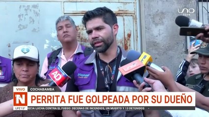 Denuncian maltrato a perrito