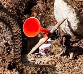 Be prepared, not scared! Simple first aid hacks for worry-free camping!