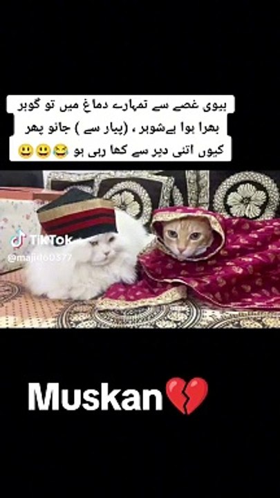 Funny