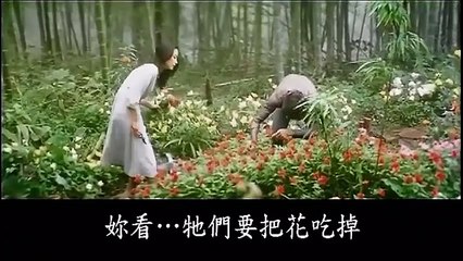 經典電影《奔向彩虹》完整版（1977年）🎬
