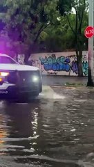 Debido a las lluvias, varios puntos de la #ZMG resultaron afectados, entérate