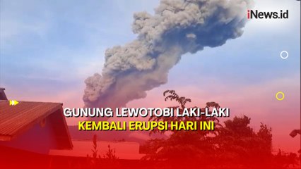 Gunung Lewotobi Laki-laki Erupsi, Kolom Abu Capai 1.000 Meter dari Mulut Kawah