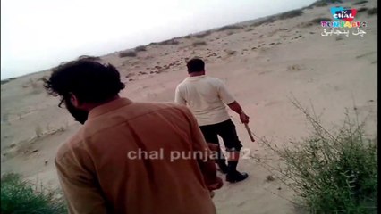 Tour of Bahawalpur | 01-08-2014 | Bahawalpur Mandi Yazman