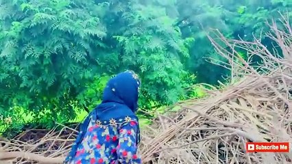 my first videoAaj Hamara bahut nuksan ho gaya.