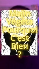 Majin Végéta : Pourquoi c'est bien ?