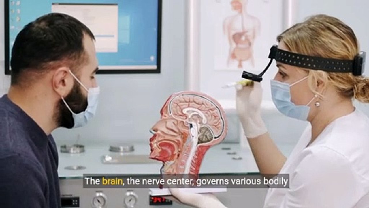 Understanding the Human Circulatory System