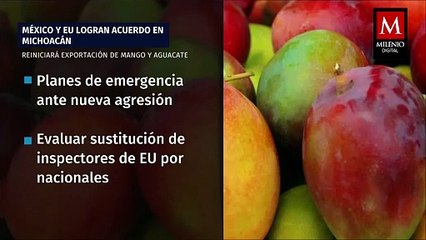 Download Video: Embajador Salazar prioriza seguridad de trabajadores en retoma de exportación de aguacate