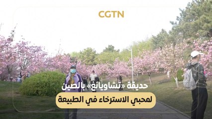 حديقة «تشاويانغ» بالصين لمحبي الاسترخاء في الطبيعة