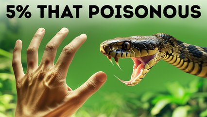 Snakes Hit an Evolutionary Jackpot, Here's Why