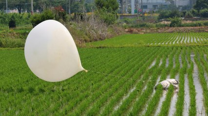 Ballone aus Nordkorea enthielten Parasiten aus Fäkalien