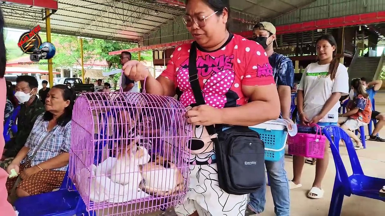 ปราจีนบุรี อบต.บุฝ้ายจัดกิจกรรมการผ่าตัดทำหมันสุนัขและแมว ตามโครงการป้องกันและควบคุมโรคพิษสุนัขบ้า ประจำปีงบประมาณ พ.ศ. 2567