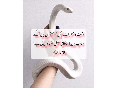 Urdu Shayari female voice Poems Ghazals