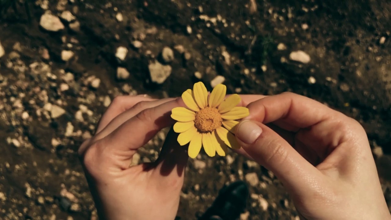 "The Intriguing Truths Behind Human Behavior: Unveiling Psychology's Insights"