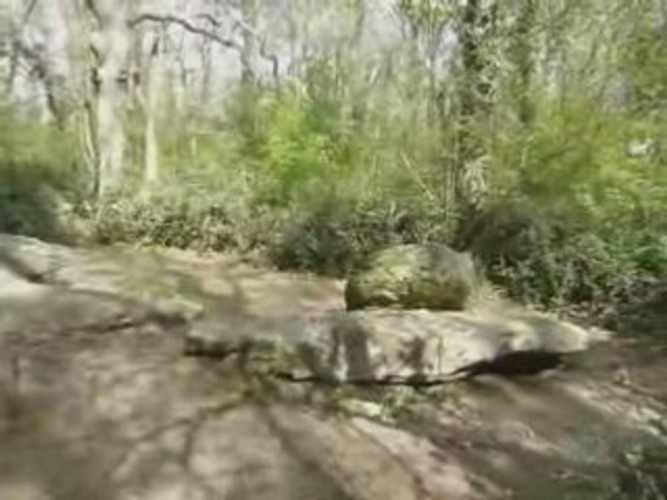 Dolmen de Commequiers, Vendée.