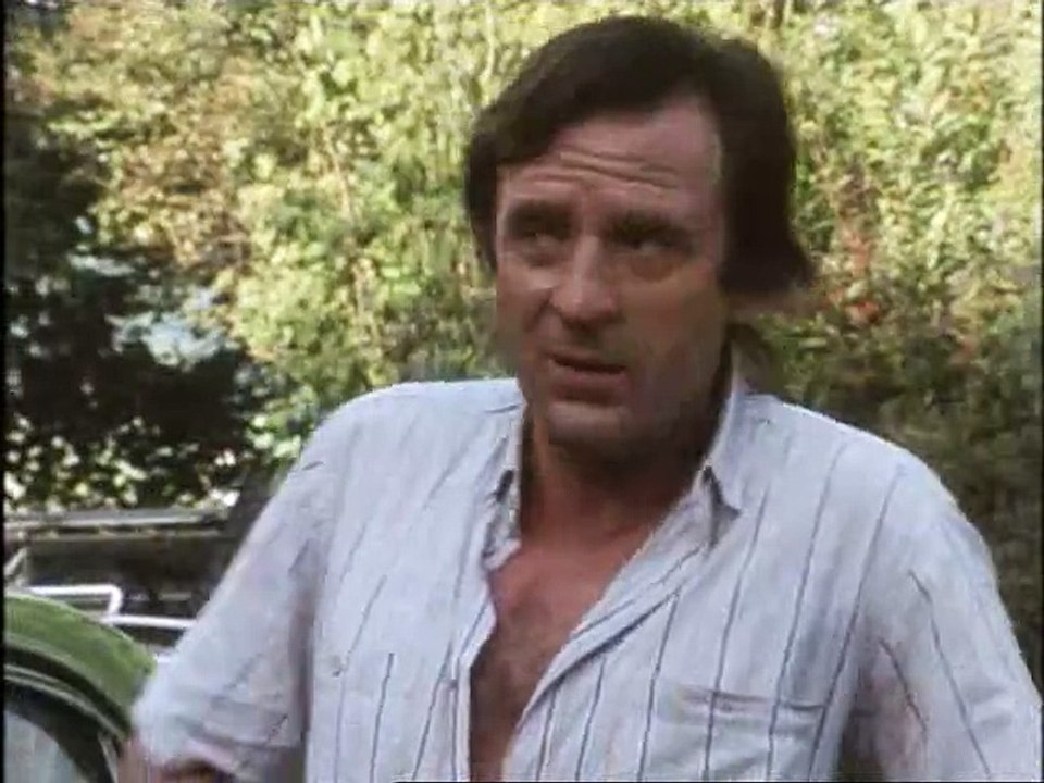 Der Fahnder S01E15-Hitzewelle