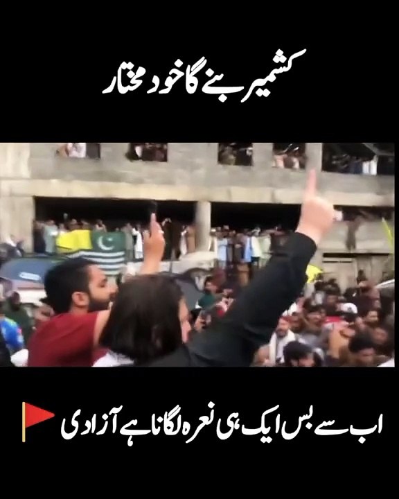 My videos