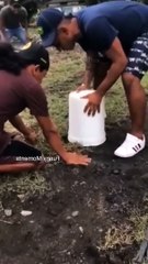 Hot Funny OMG!!!     #viralvideo  #funny #trending