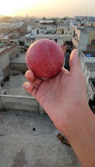 Gravity + Ball #cricketshort #shorts #batting #battingpractice #cricketreels #viral
