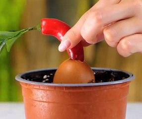 Essential hacks to save time, money, and grow more!