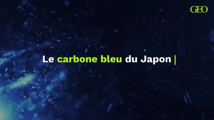 Quel est ce "carbone bleu" sur lequel le Japon mise pour réduire ses émissions ?
