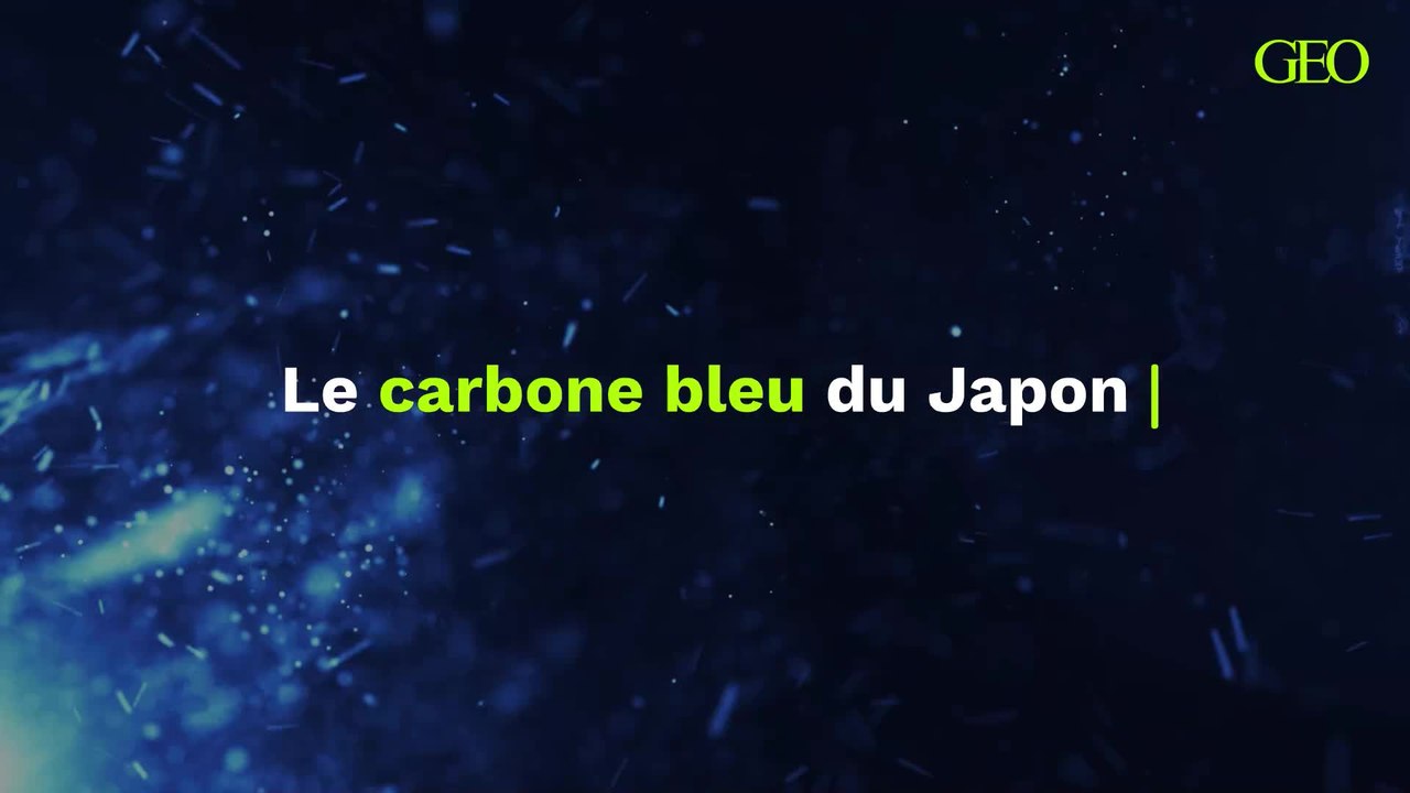 Quel est ce "carbone bleu" sur lequel le Japon...
