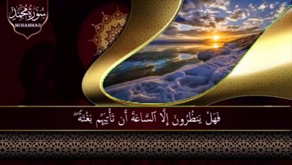 سُوْرَۃ مُحَمَّد || Stunning recitation of Surah Muhammad سورة محمد | SOFT VOICE