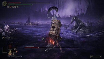 Chevalier Putrescent - Elden Ring SotE