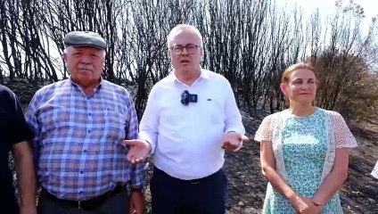 CHP Heyeti Uşak’ın yangın bölgesinde