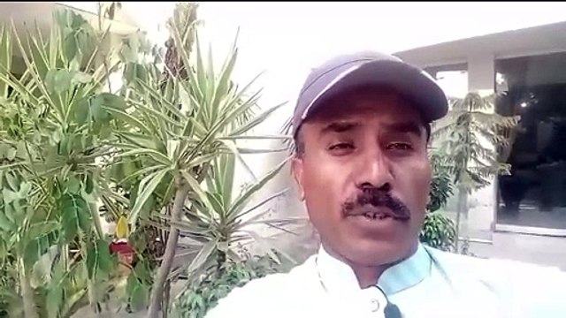 اسٹنٹ ڈائریکٹر پاسپورٹ افس گجرات سمیت پانچ ملازمین کو ایف ائی اے نے گرفتار کر لیا