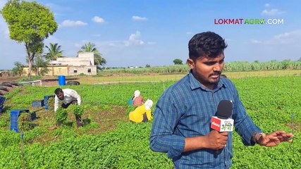 थेट शेतातच मालाची विक्री खोतीदार पद्धत कशी चालते