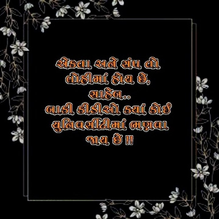 એકતા અને સંપ તો લોહીમાં હોય છે બાકી