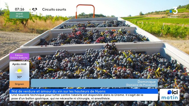 À Venterol, Domaine de ProvenSol , des vins Bio d'altitude, plein d'arômes et d'amour