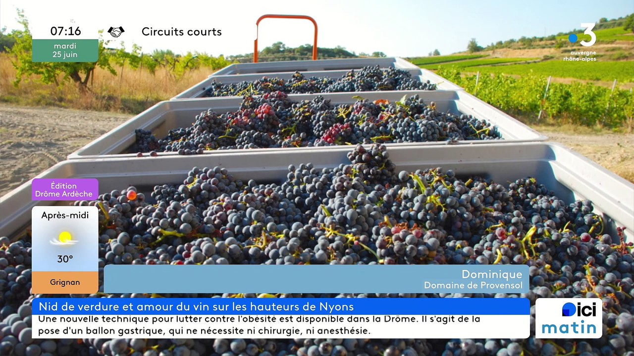 À Venterol, "Domaine de ProvenSol", des vins Bio d'altitude, plein d'arômes et d'amour